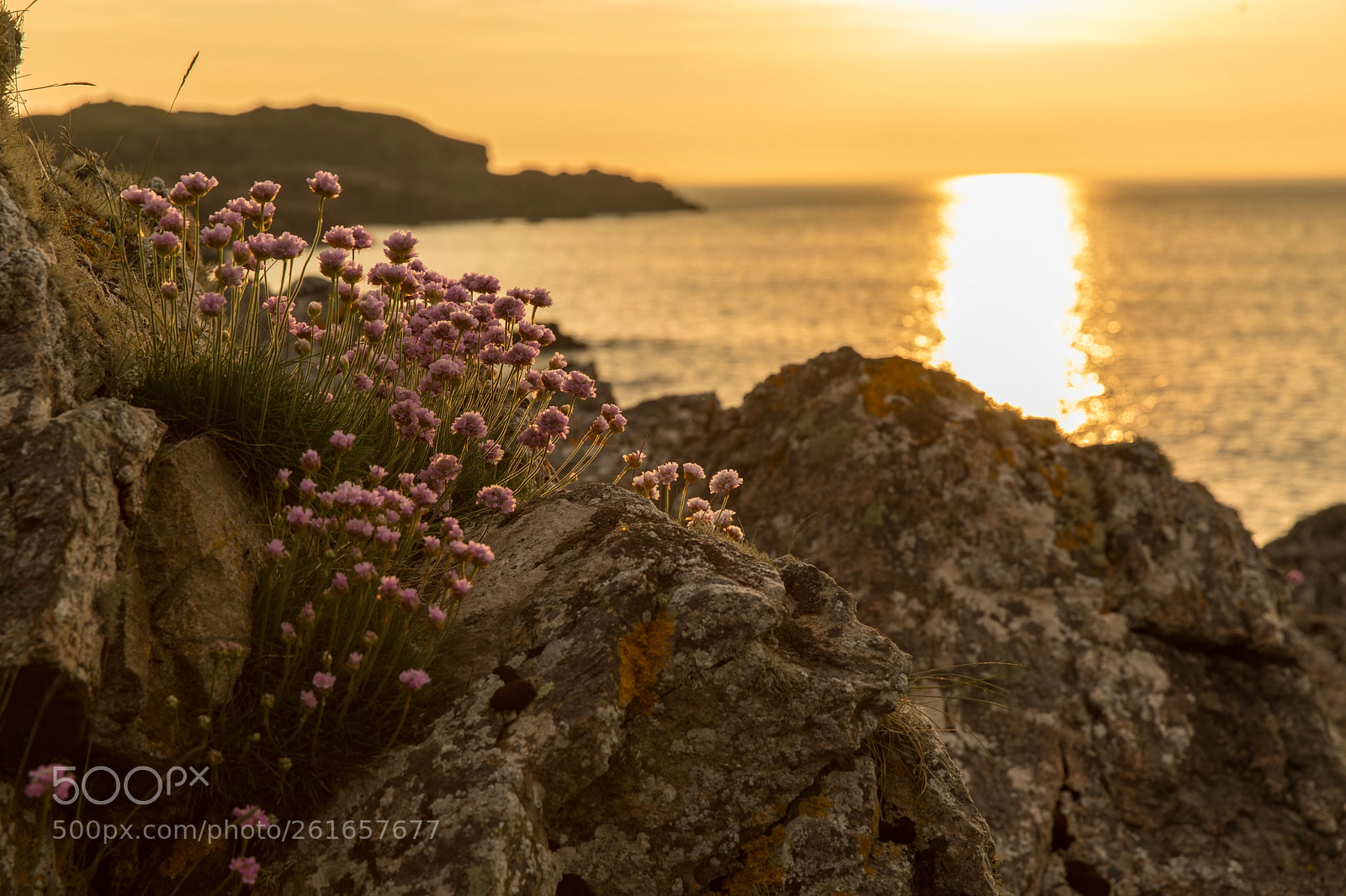 Canon EOS 5D Mark IV sample photo. Sunset at the scottish photography