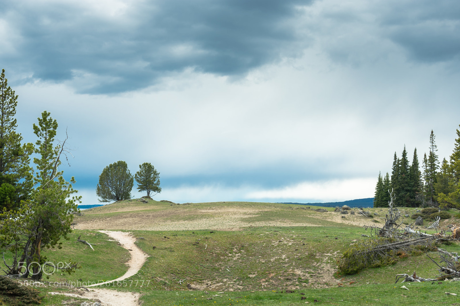 Nikon D3400 sample photo. Overcast hike- yellowstone photography