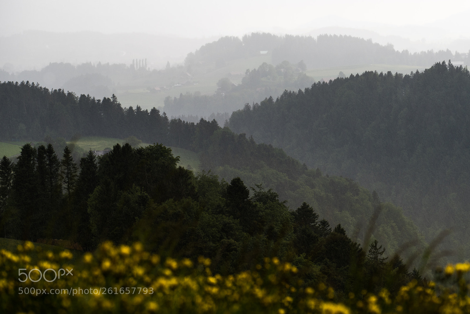 Nikon D810 sample photo. Layers photography