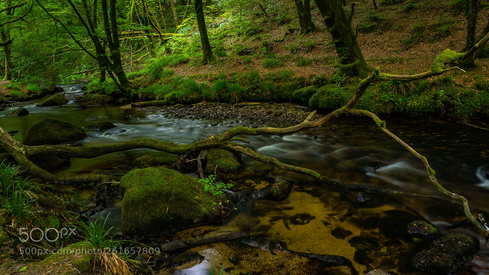 Olympus OM-D E-M1 sample photo. Golitha falls photography