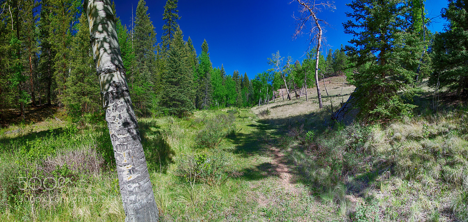 Pentax K-5 IIs sample photo. Untitled panorama 428 photography