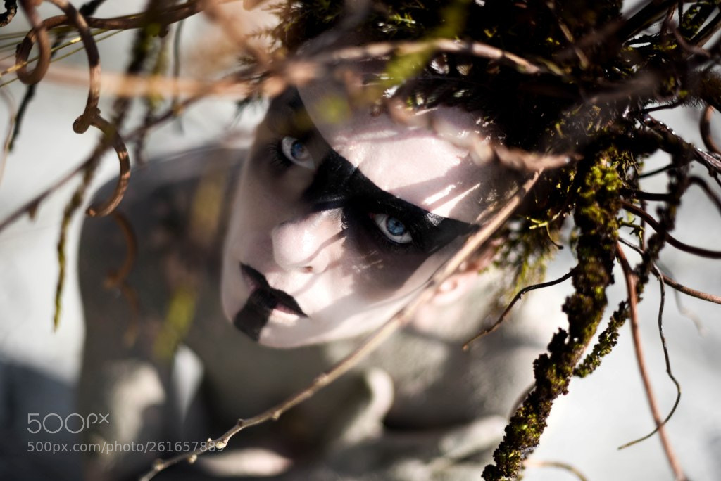 Nikon D750 sample photo. Teatronatura the creature of photography