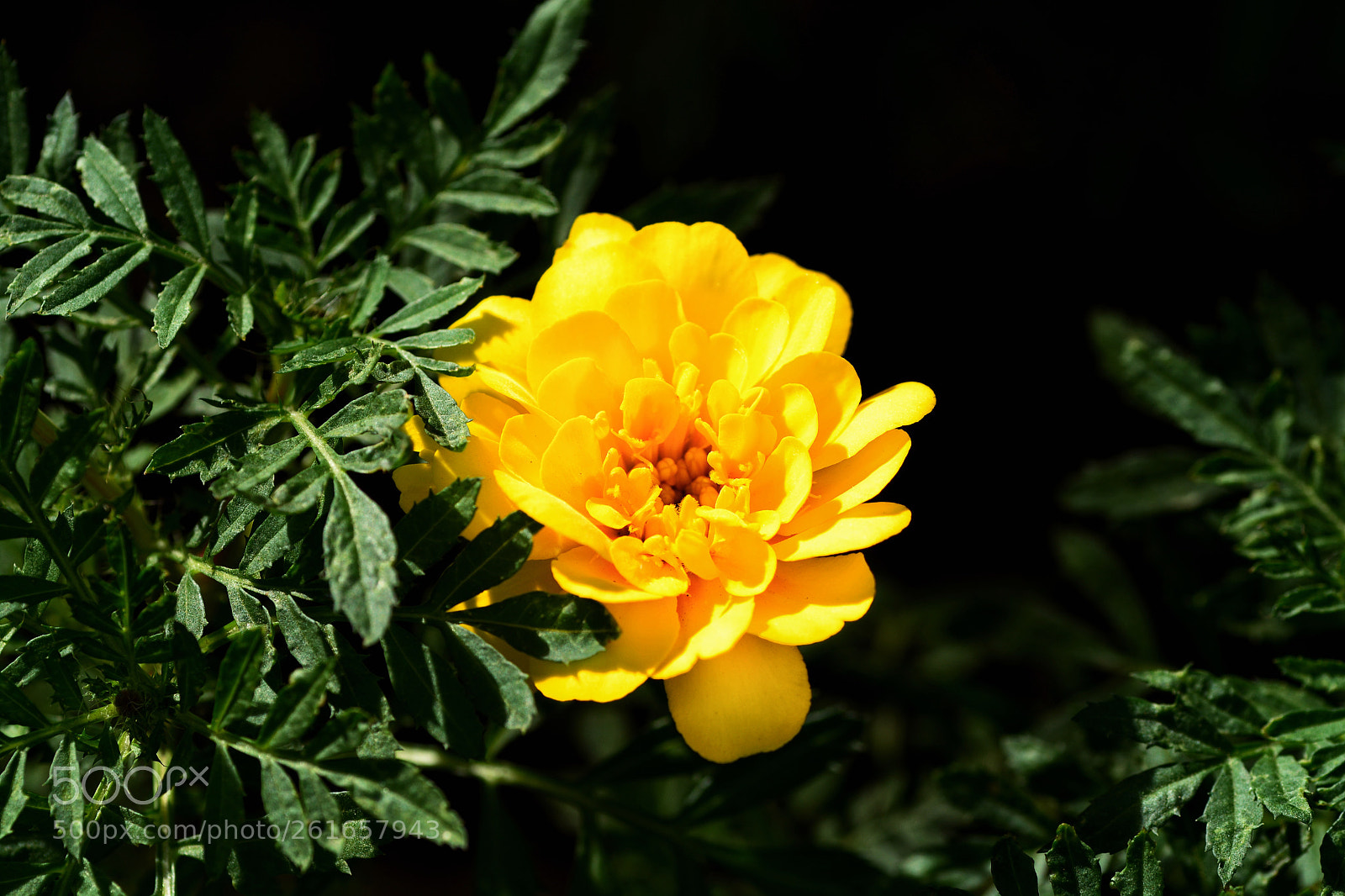 Nikon D7100 sample photo. Untitled photography