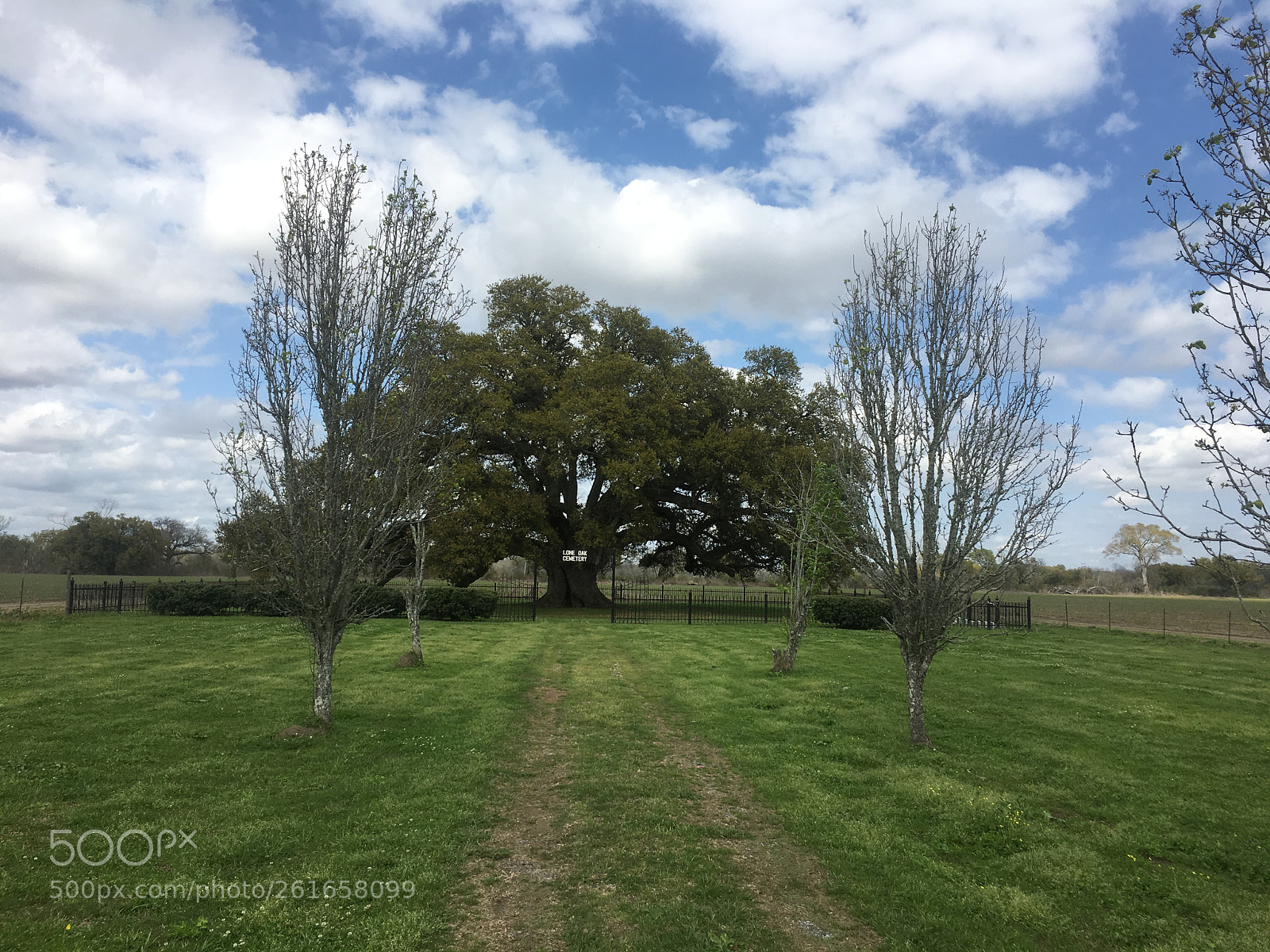 Apple iPhone 6s sample photo. Lone oak cemetery photography