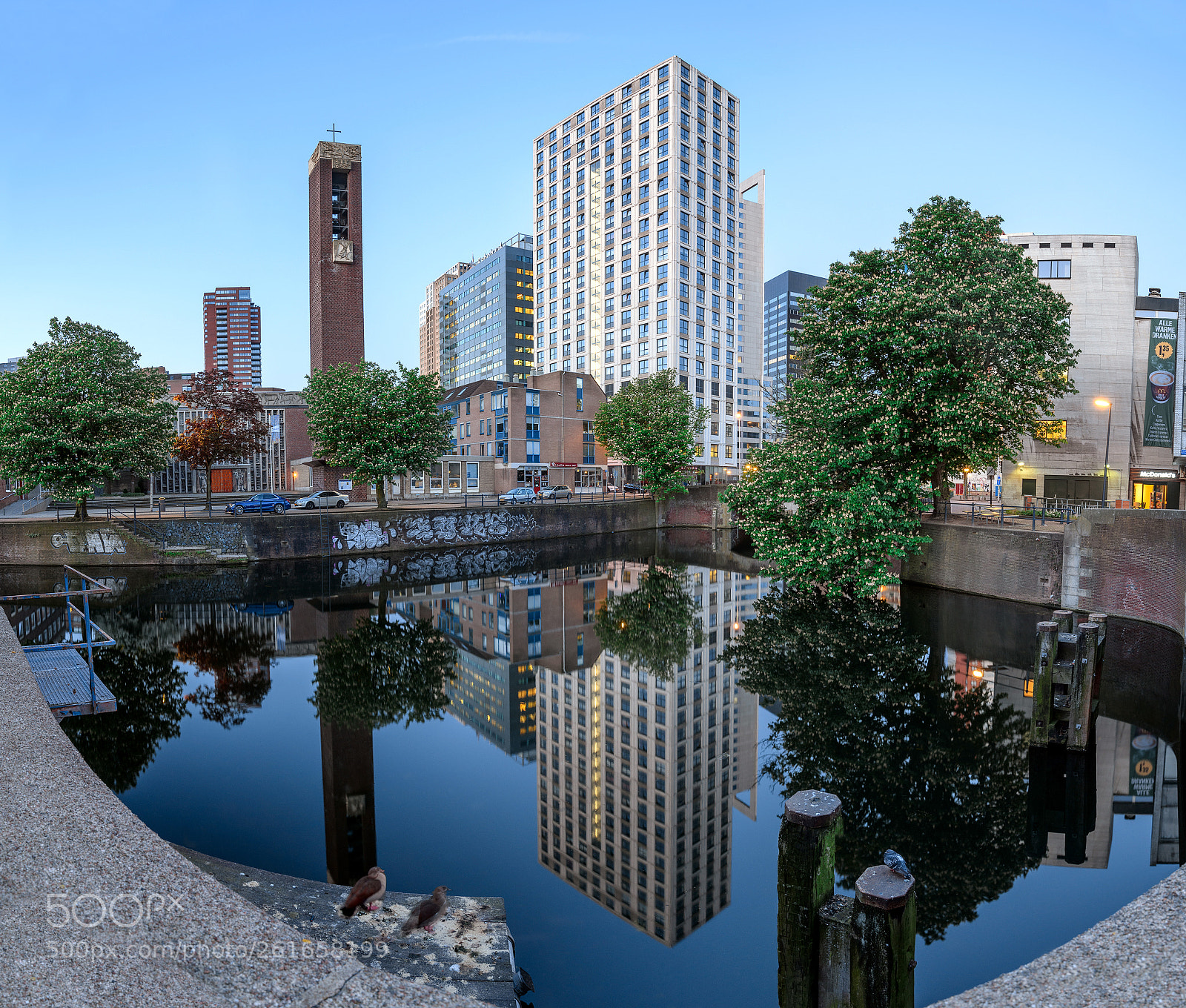 Nikon D810 sample photo. Rotterdam, netherlands, may 2018 photography