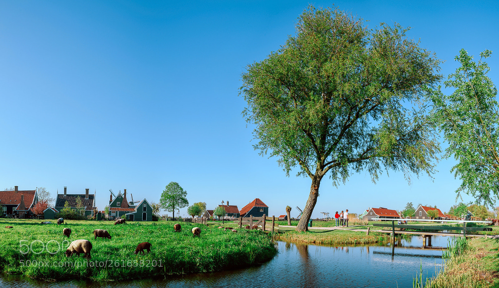 Nikon D810 sample photo. Zaanse schans, netherlands, may 2018 photography