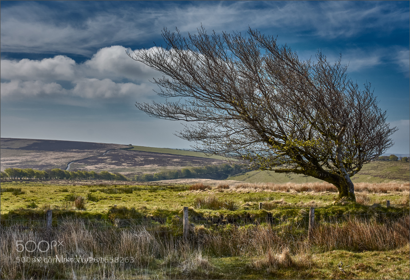 Nikon D7200 sample photo. Prevailing wind! photography