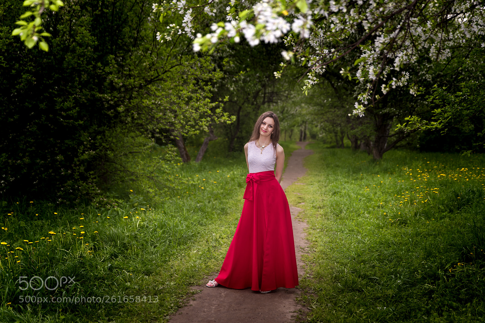 Nikon D810 sample photo. A walk in the photography