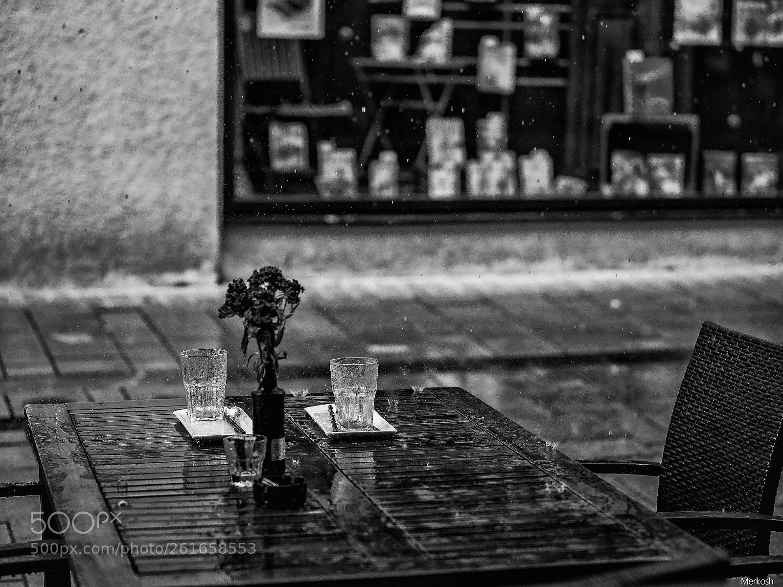 Olympus OM-D E-M1 Mark II sample photo. Raindrops photography