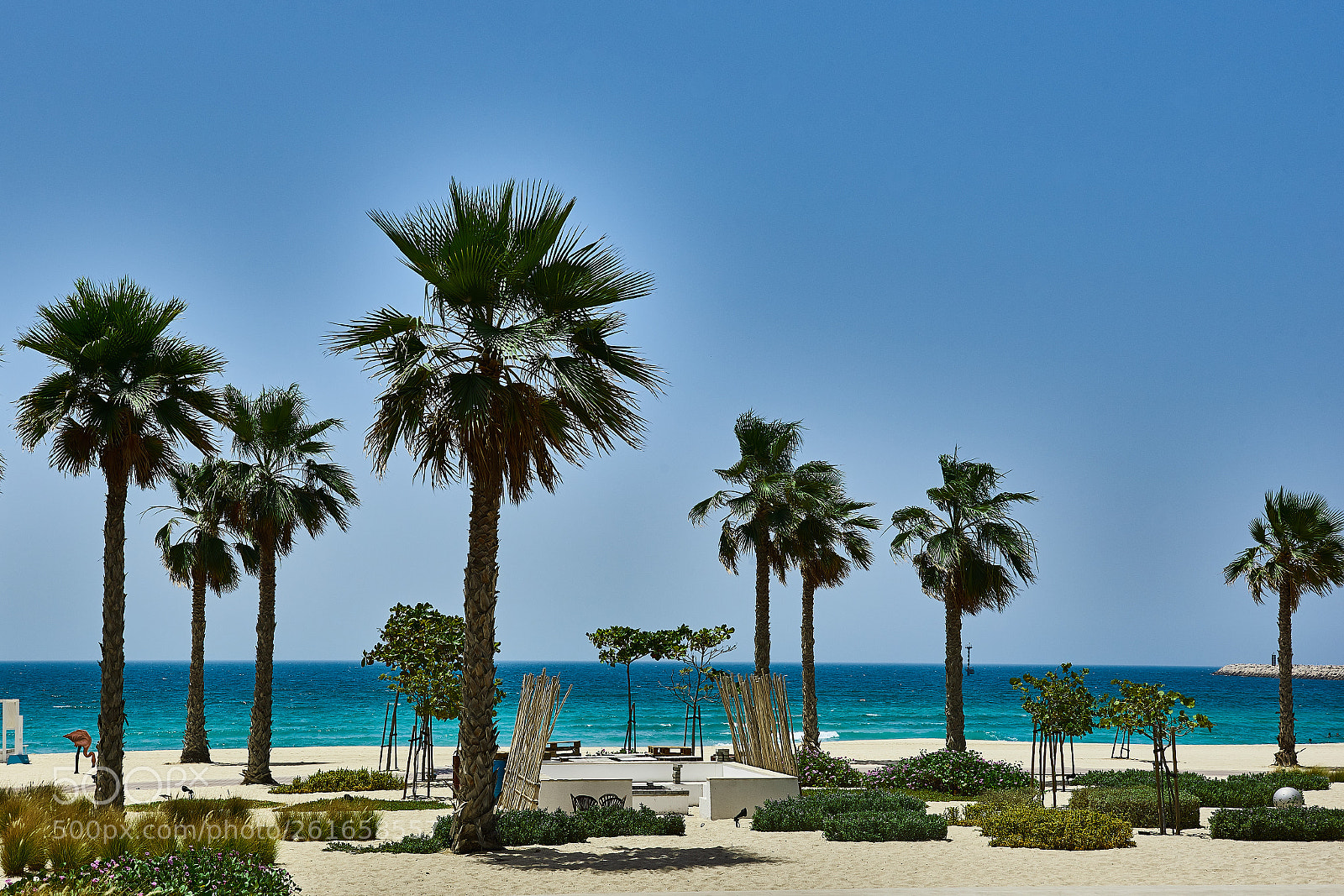 Nikon D750 sample photo. Nikki beach dubai photography
