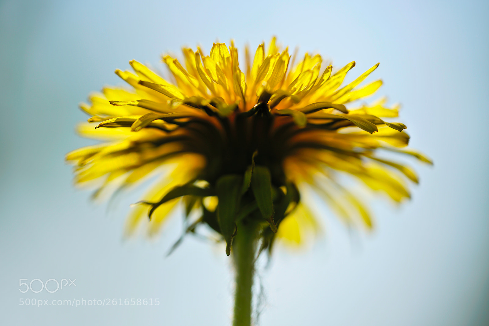 Sony a7R II sample photo. 0081-20651 photography