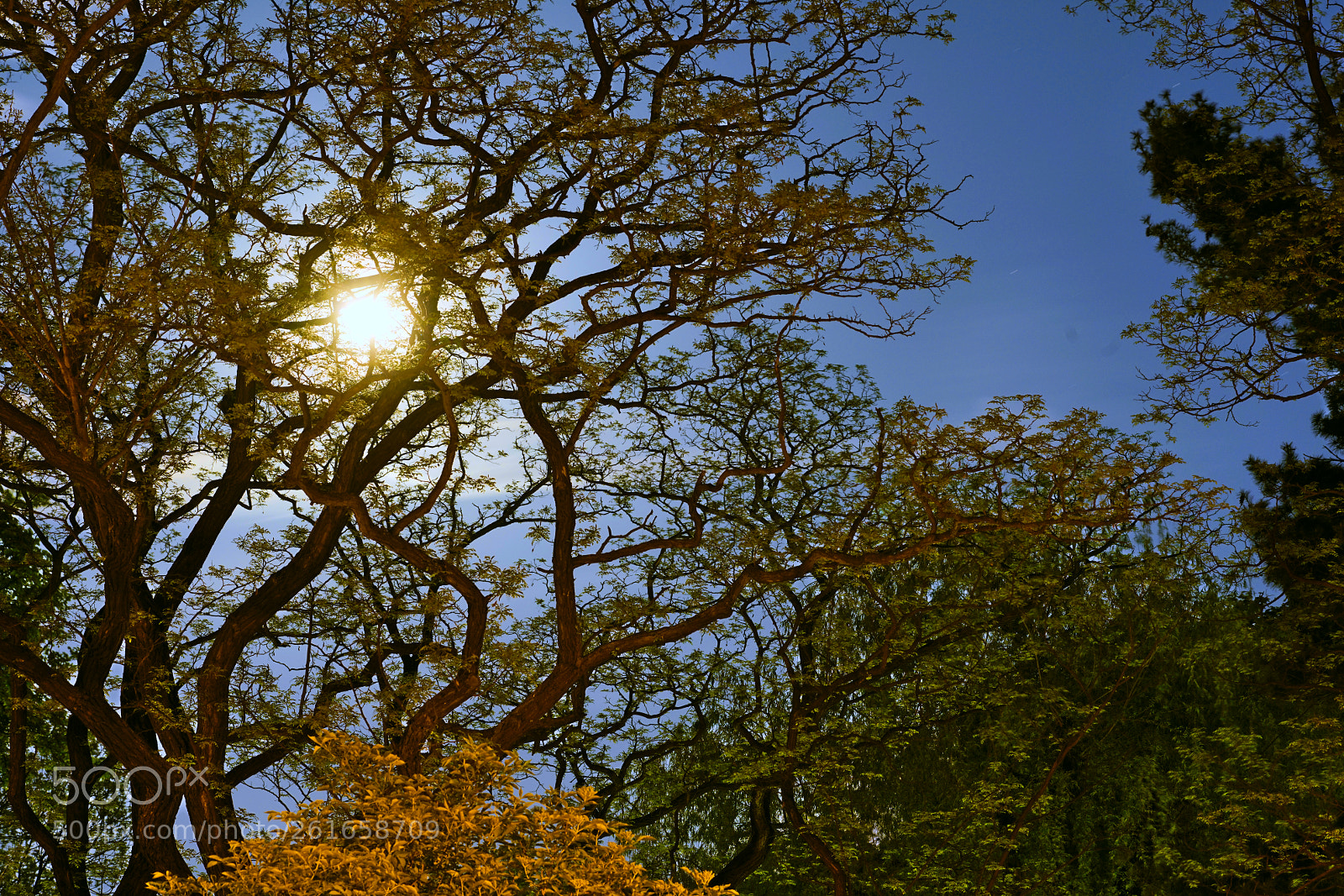 Sony a7R II sample photo. 0488-20658 photography