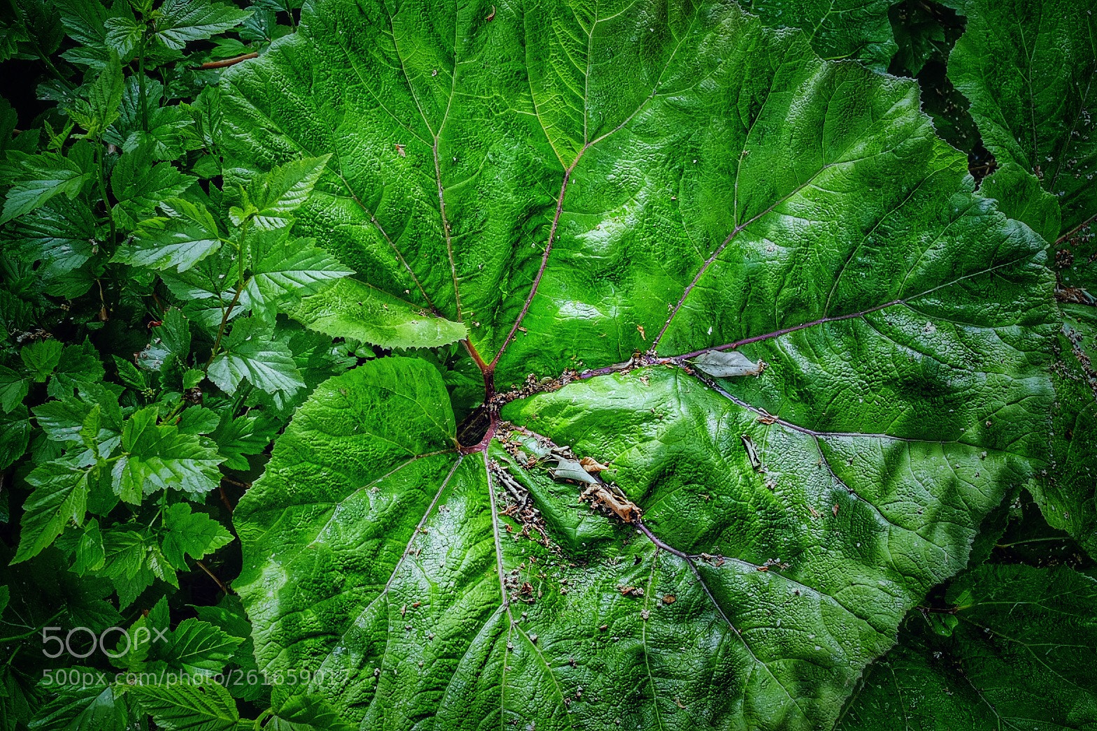 Fujifilm X-T10 sample photo. Untitled photography