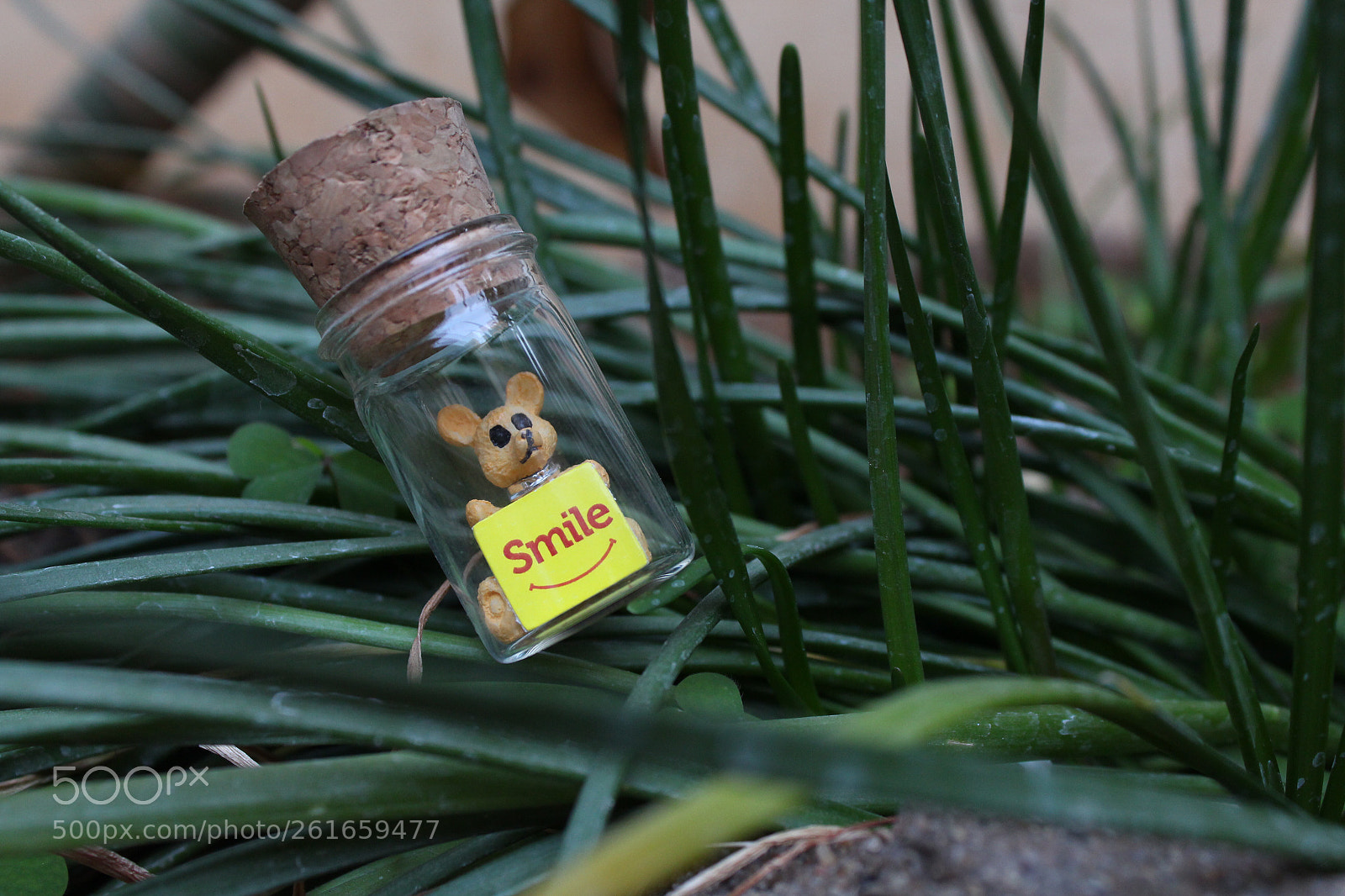 Canon EOS 700D (EOS Rebel T5i / EOS Kiss X7i) sample photo. Smile,life is short to photography