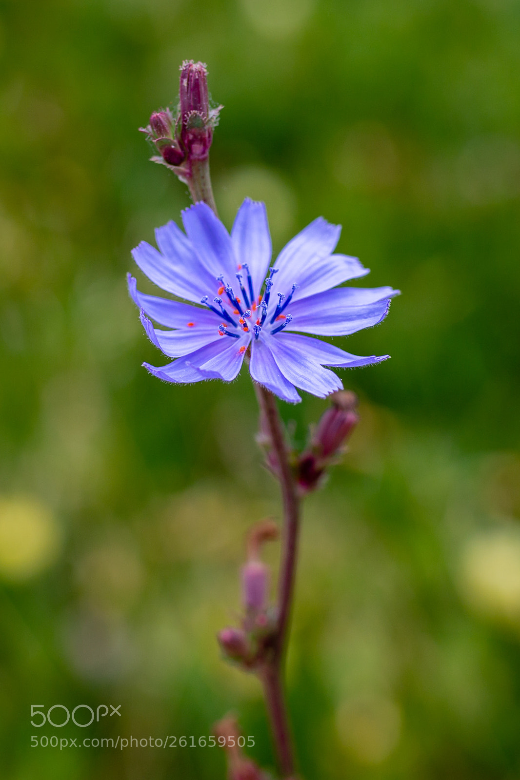 Canon EOS 6D sample photo. Beauty in nature photography