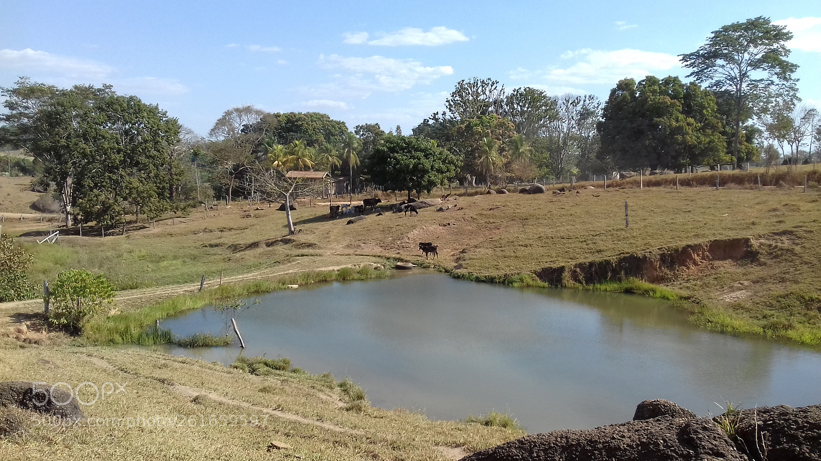 Samsung Galaxy Grand Prime sample photo. Ferias na ro a photography