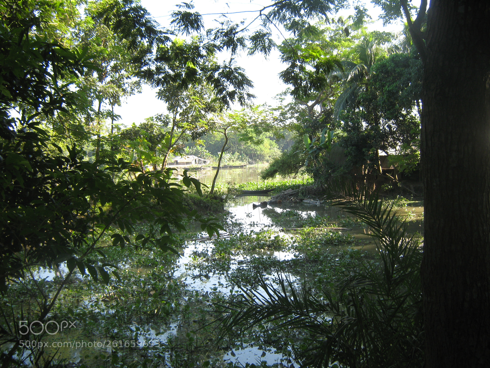 Canon PowerShot A470 sample photo. Photography by nayeem photography