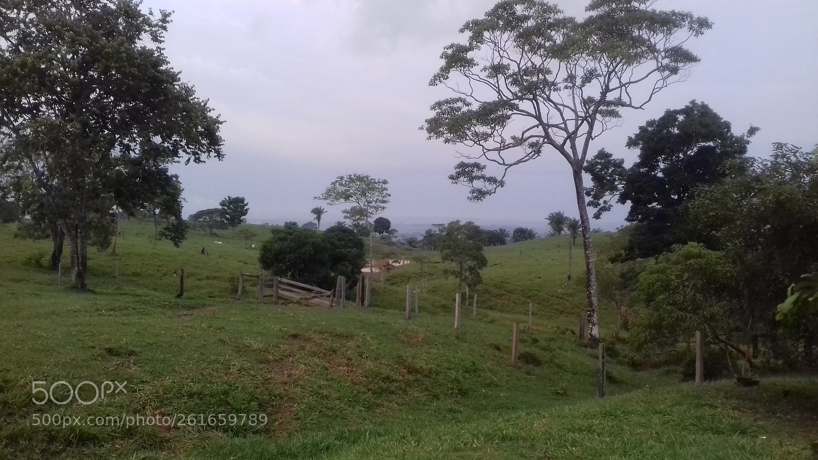 Samsung Galaxy Grand Prime sample photo. Ferias na ro a photography