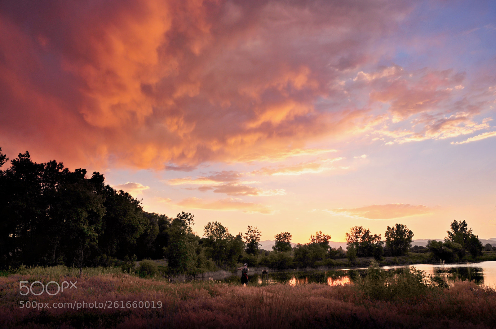 Nikon D300 sample photo. Eveninglight photography