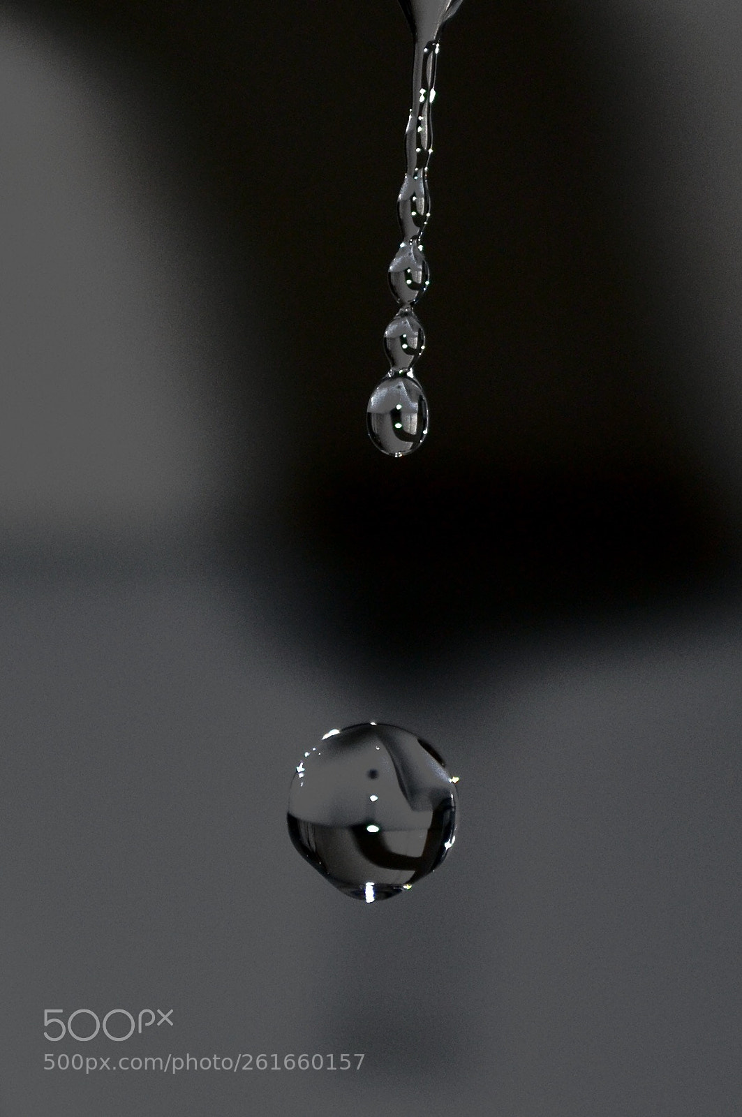 Nikon D3100 sample photo. Untitled photography