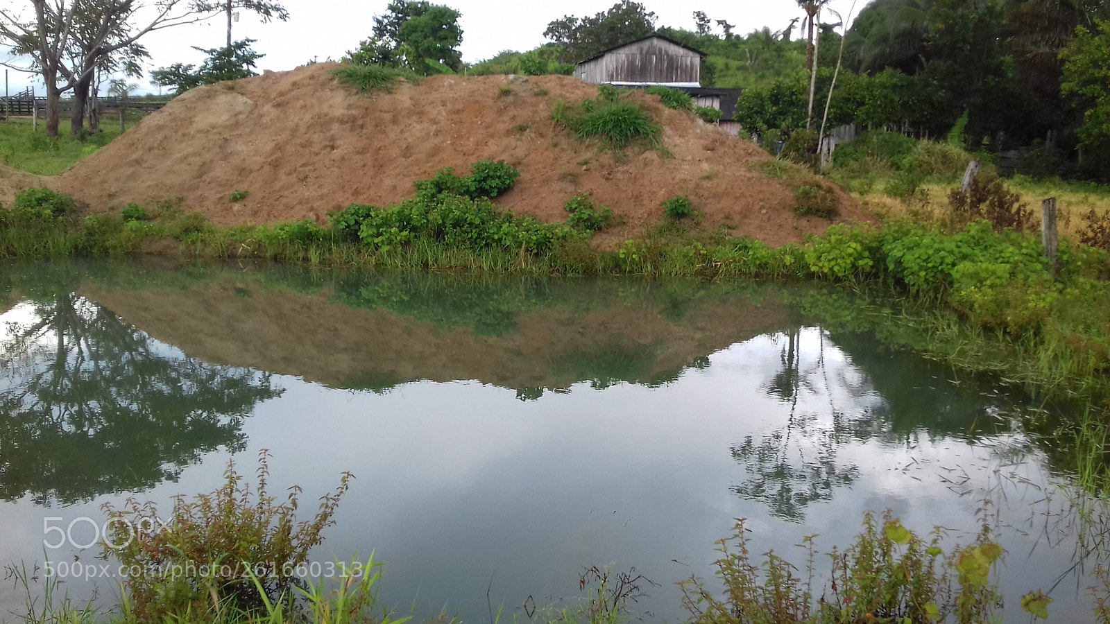 Samsung Galaxy Grand Prime sample photo. Ferias na ro a photography