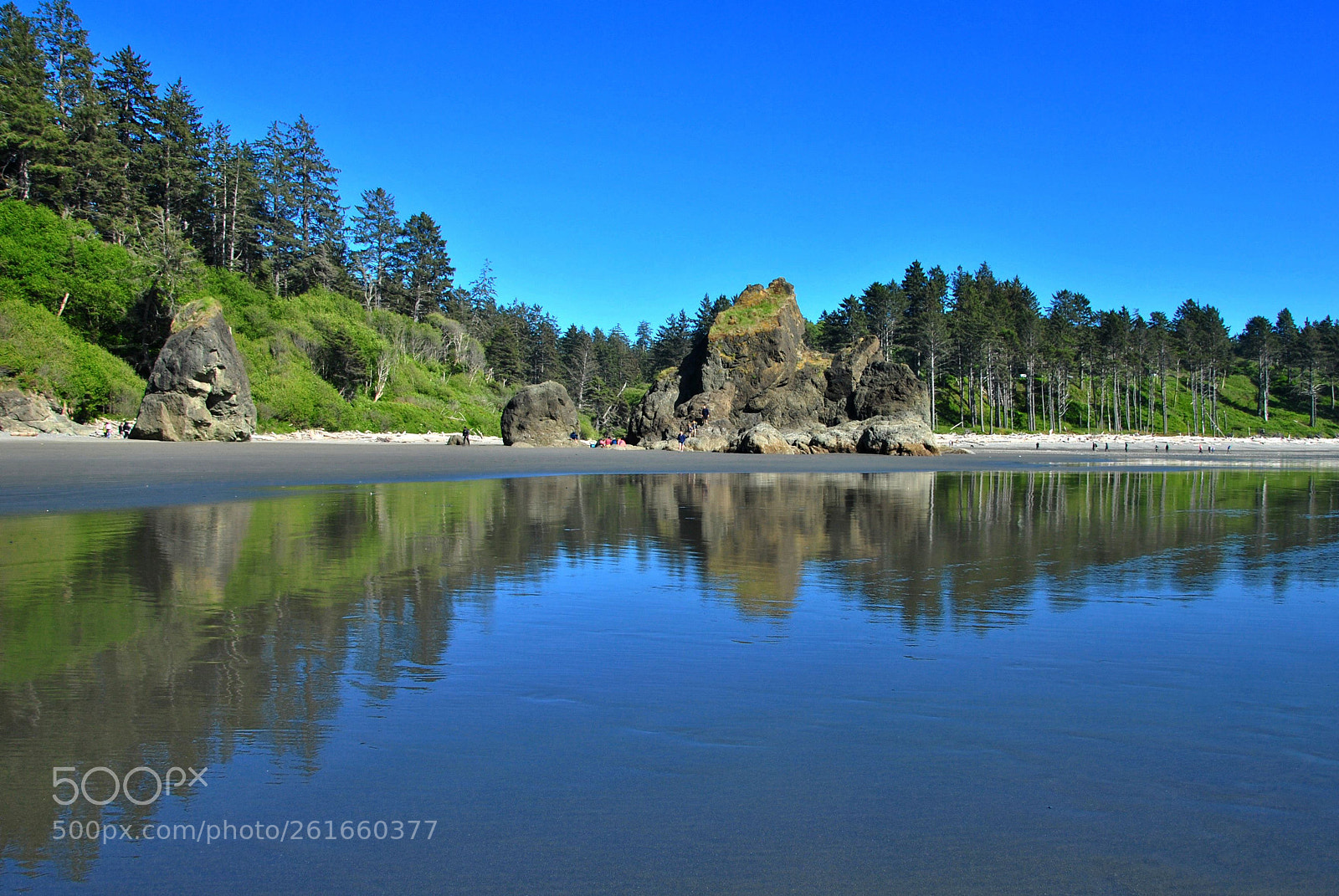 Nikon D3000 sample photo. Reflections photography