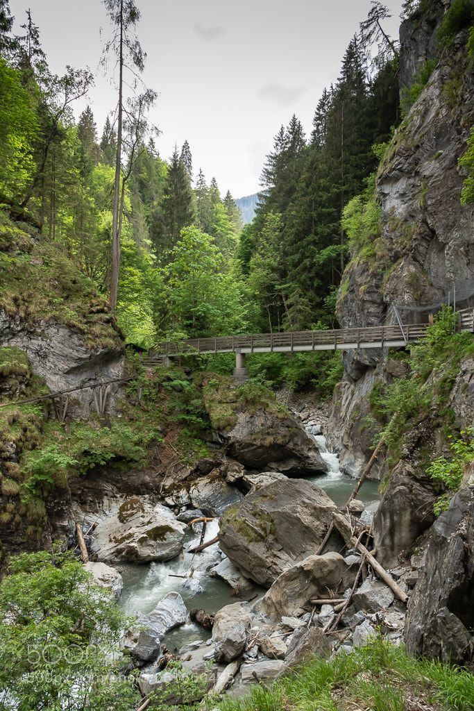 Nikon D850 sample photo. Bridge photography