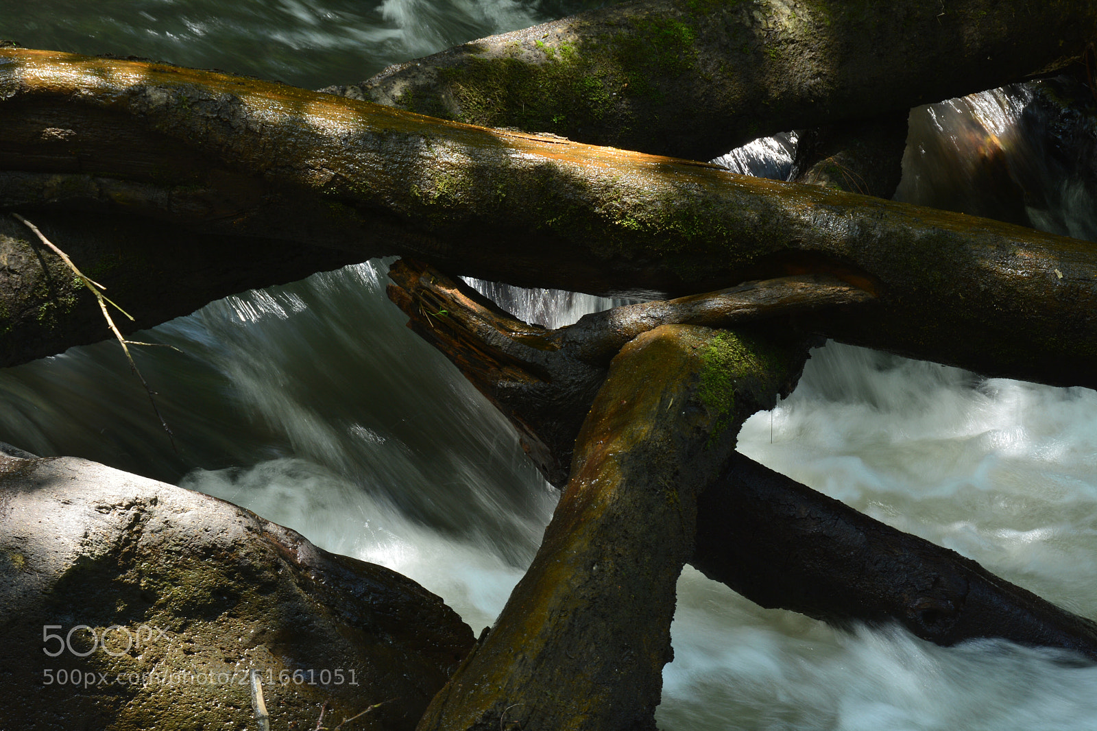 Nikon D7100 sample photo. Untitled photography