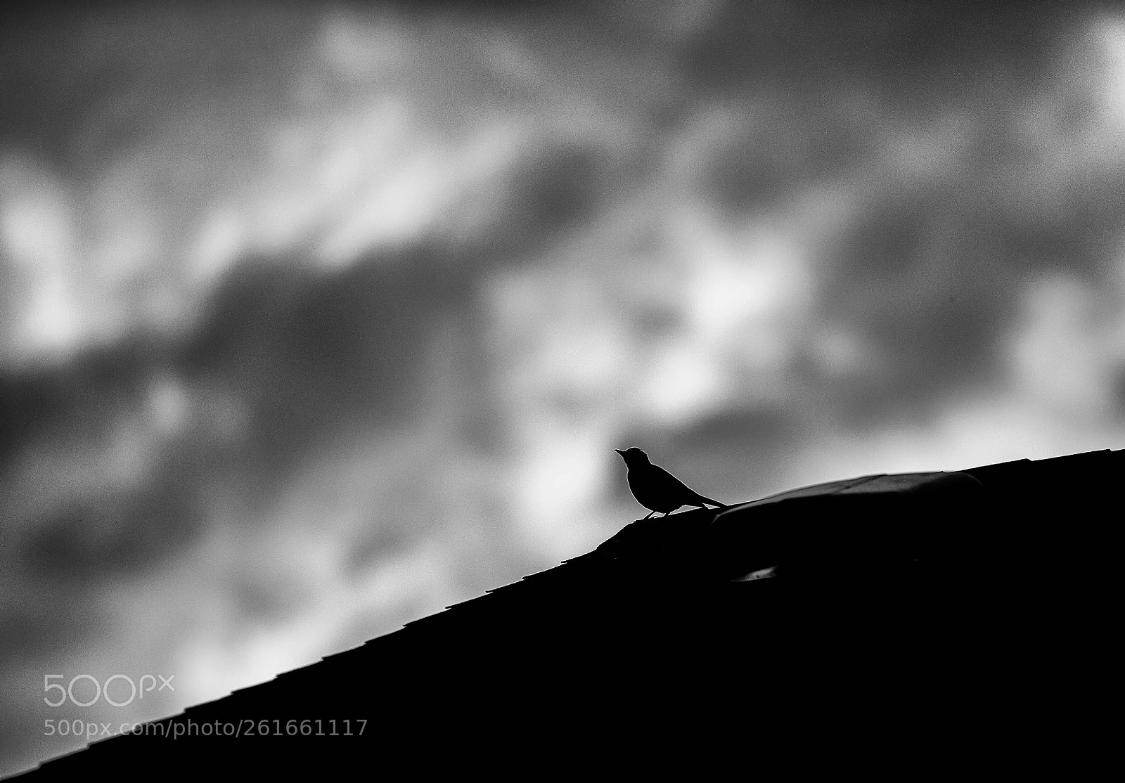 Canon EOS 5D Mark IV sample photo. Storm watcher photography