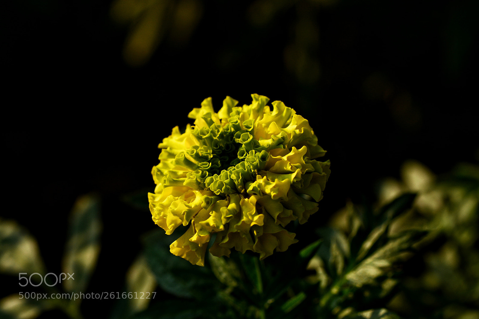 Nikon D7100 sample photo. Untitled photography