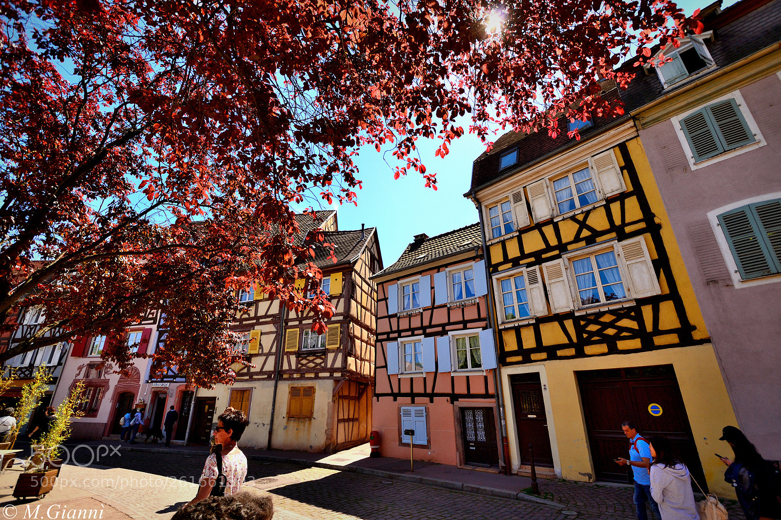 Nikon D3100 sample photo. Colmar (fra) photography