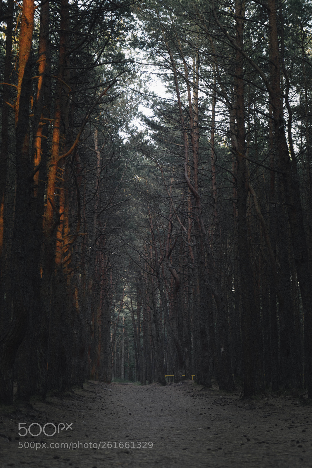 Sony a7 II sample photo