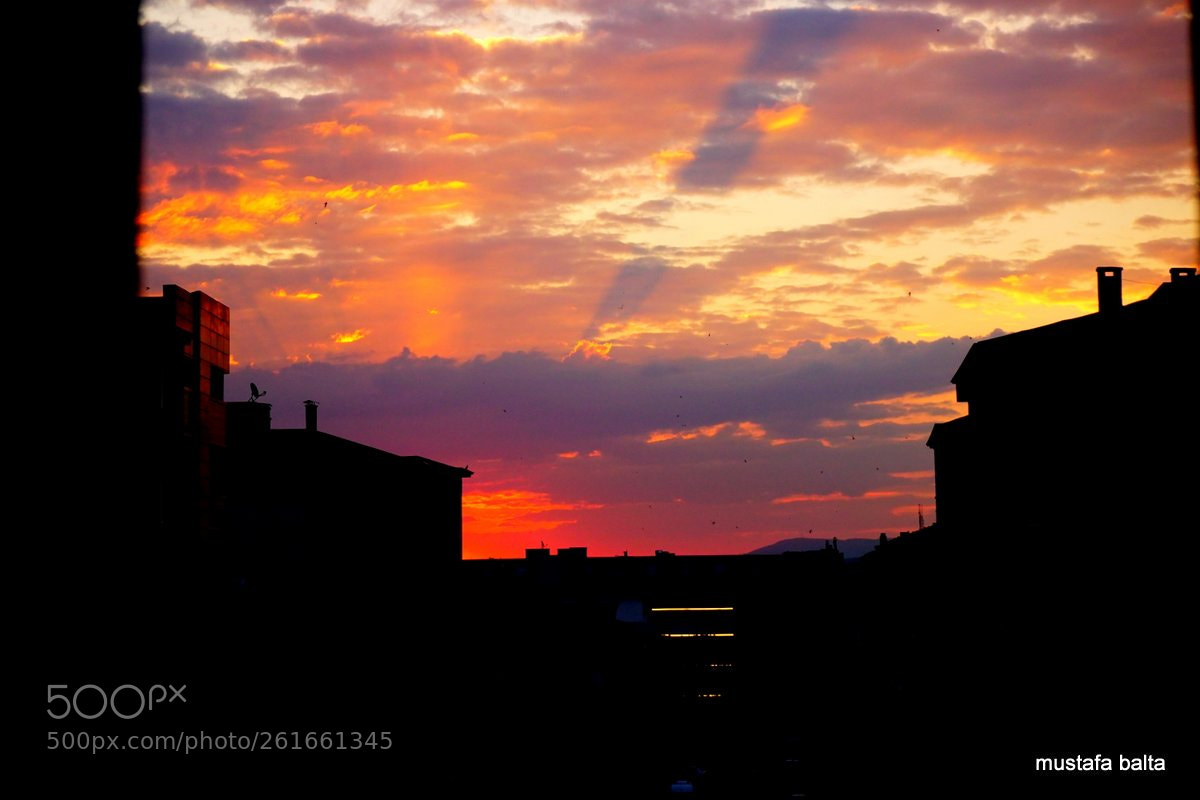 Sony a6000 sample photo. Minicix life " sunset " photography