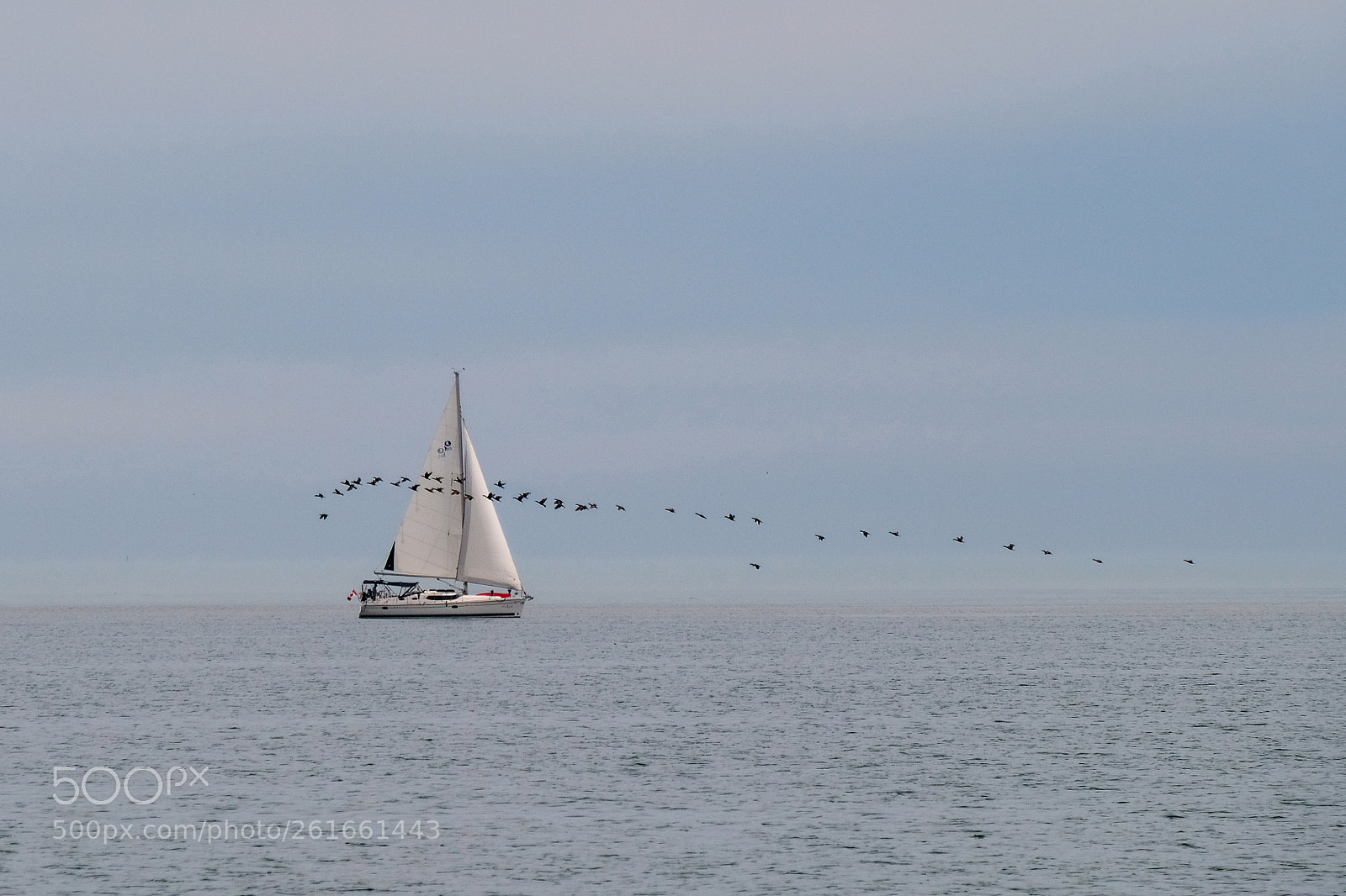 Fujifilm X-T2 sample photo. Boat and birds photography