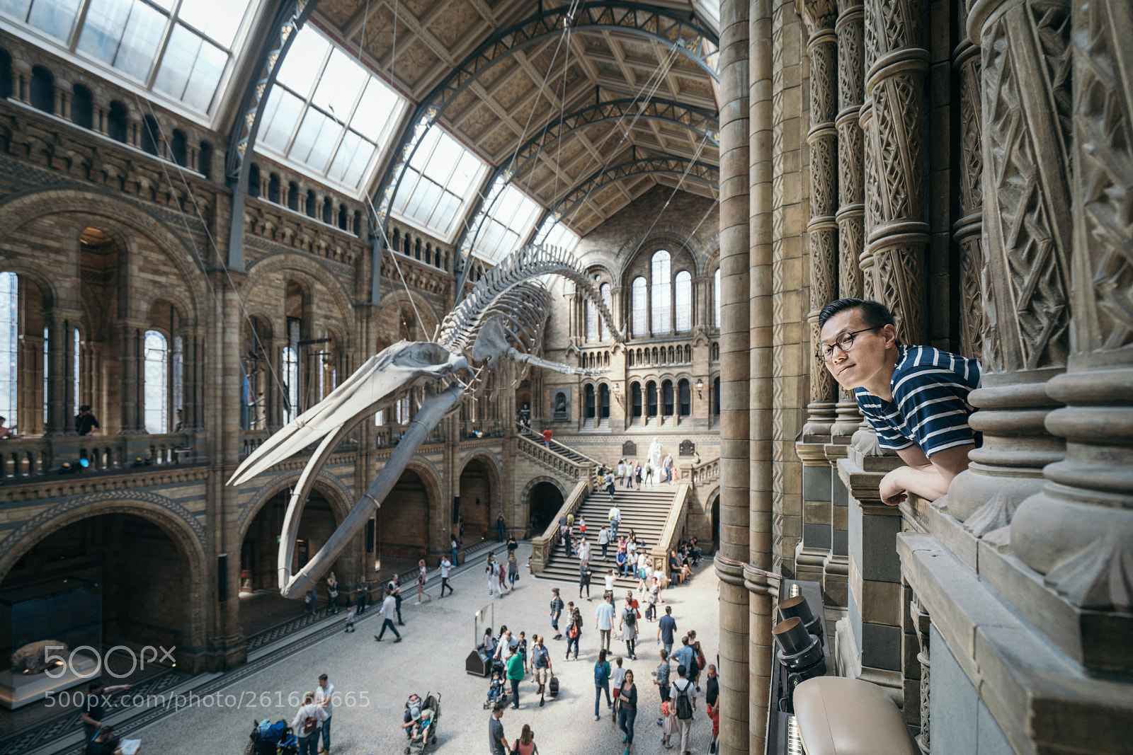 Sony a7R II sample photo. Natural history museum london  photography