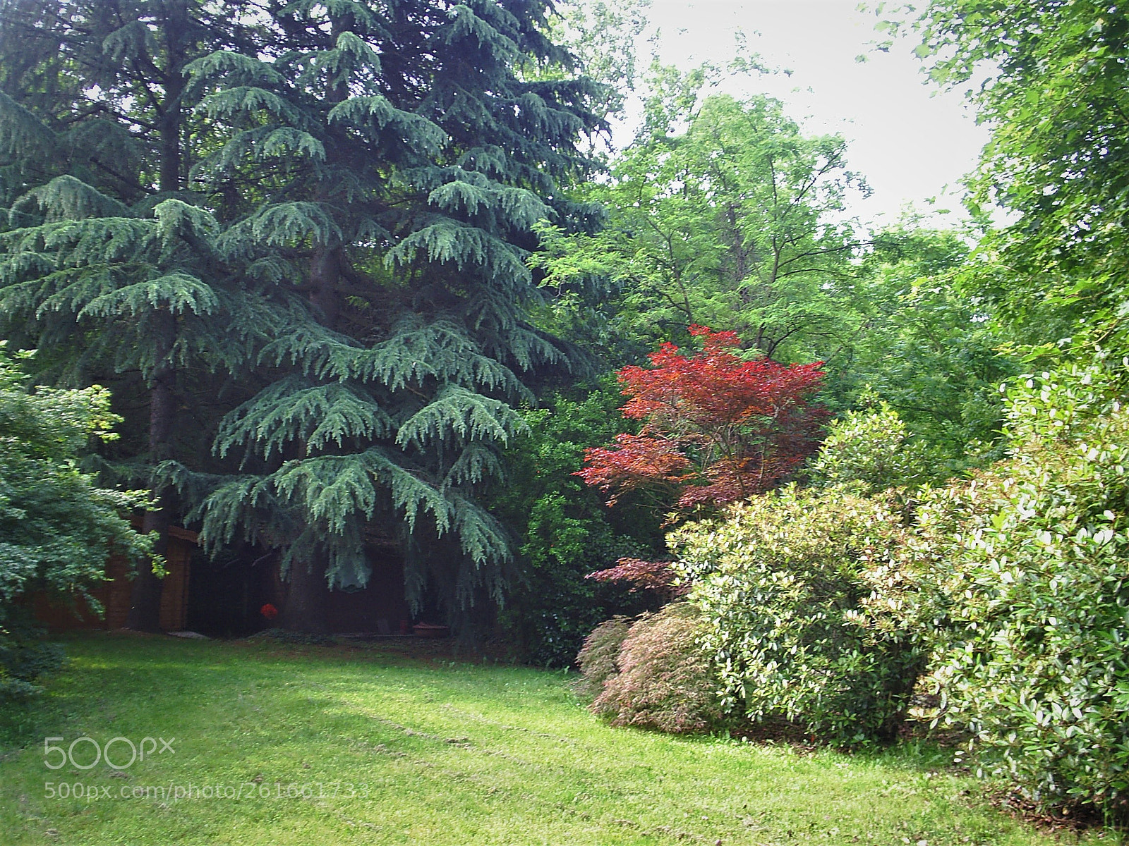 DIGITAL CAM sample photo. Lazy sundays photography