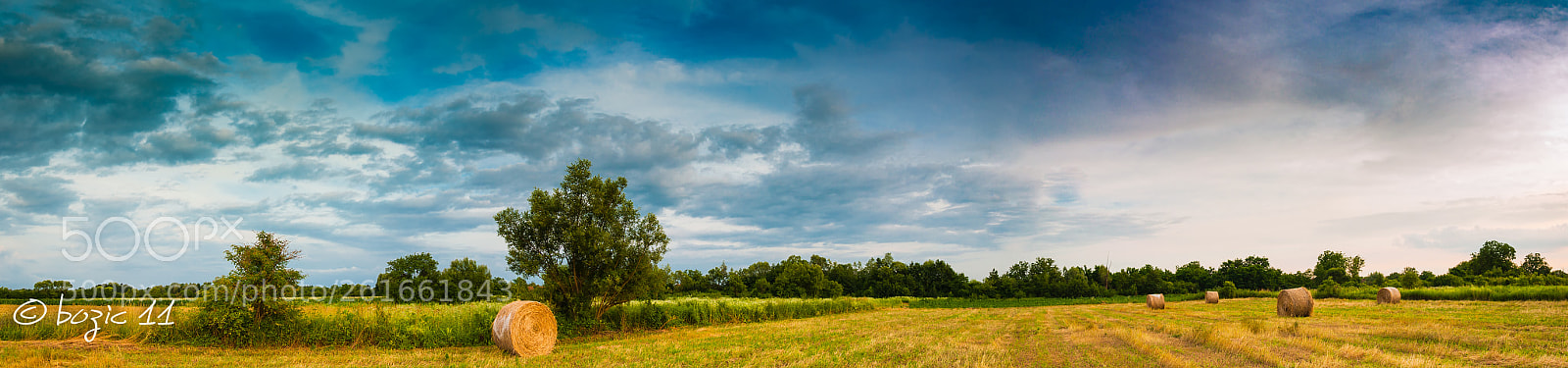 Nikon D90 sample photo. Landscape photography