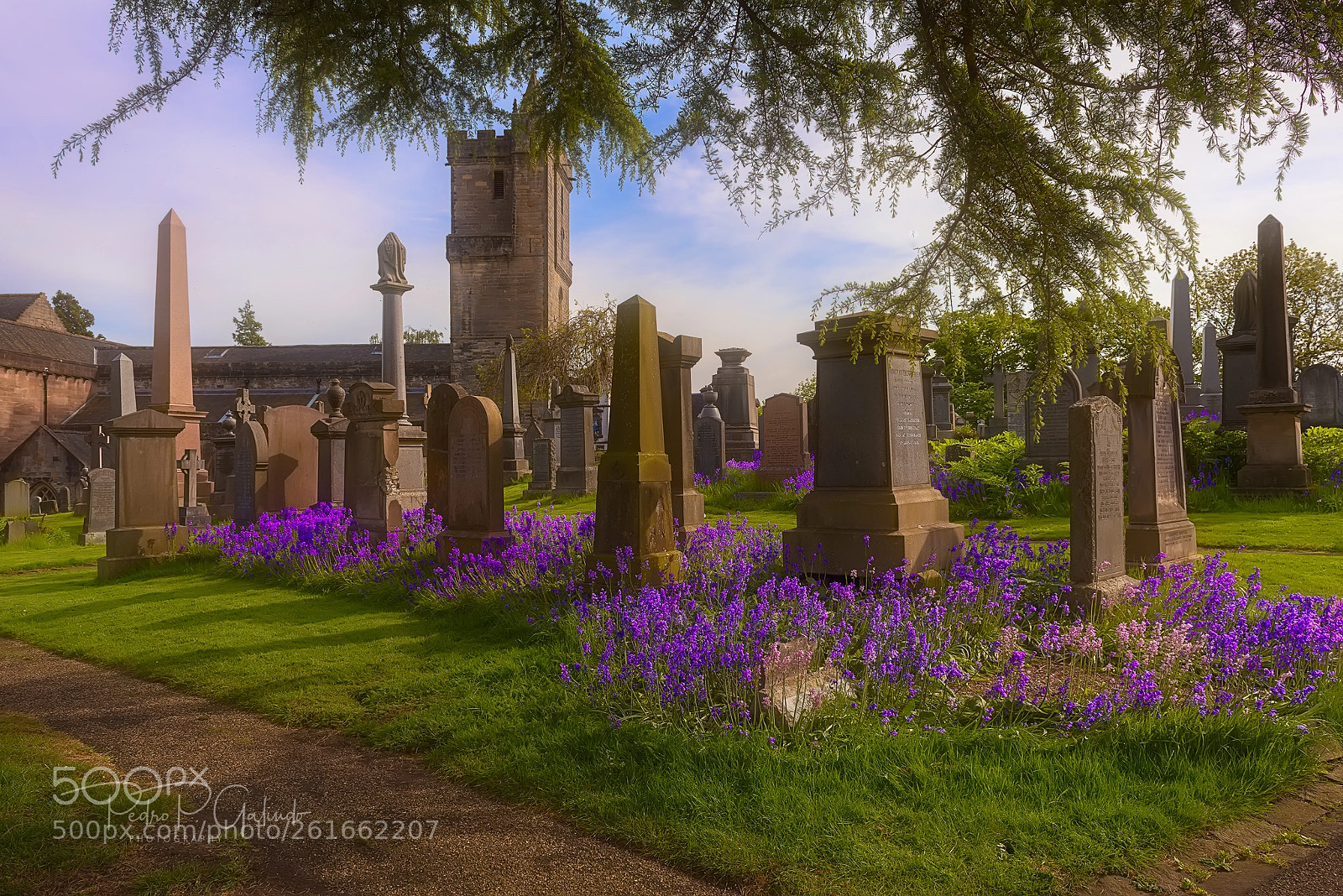 Nikon D810 sample photo. Cemetery of stirling photography
