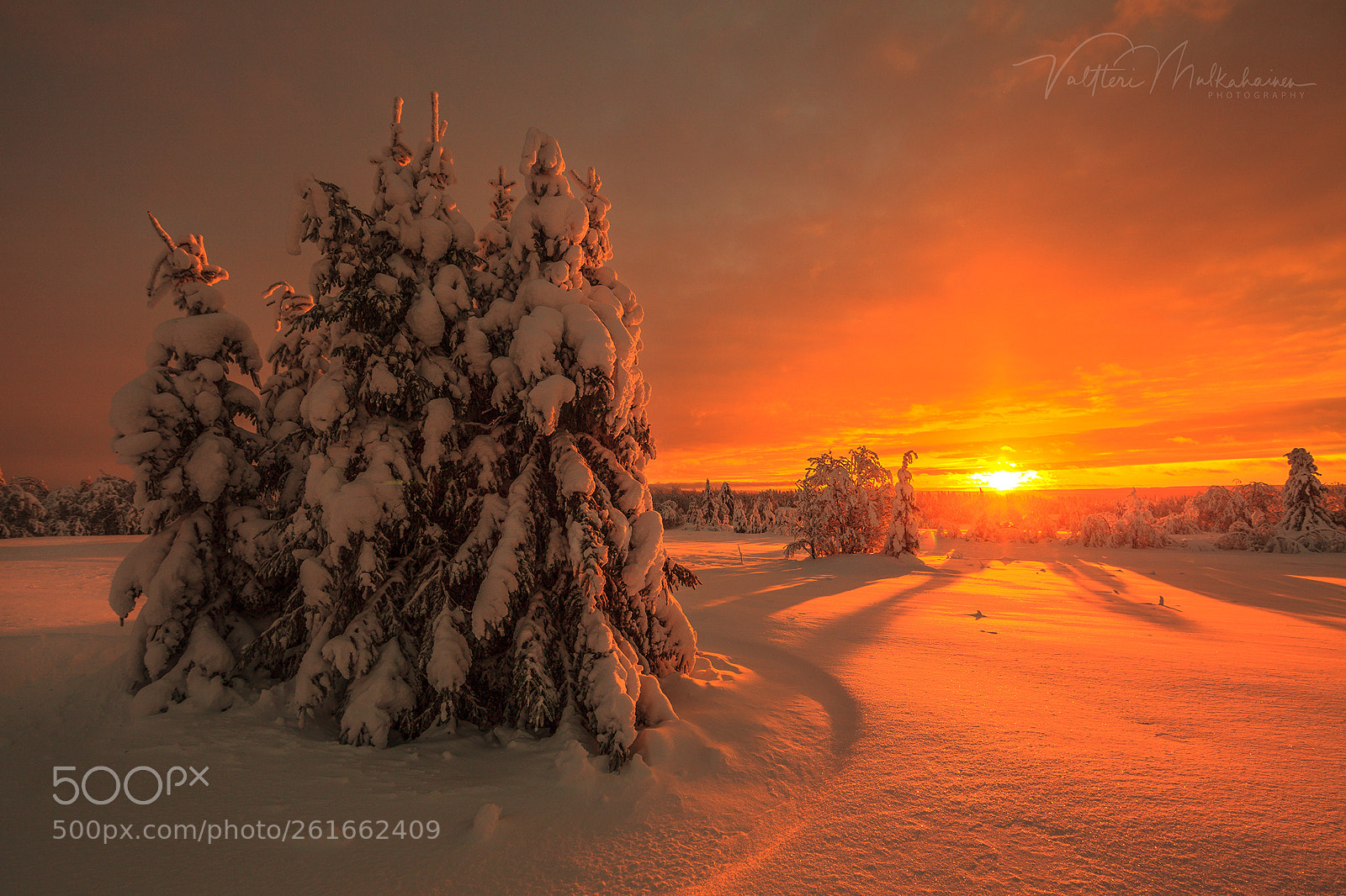 Canon EOS 5D Mark II sample photo. Winter in finland photography