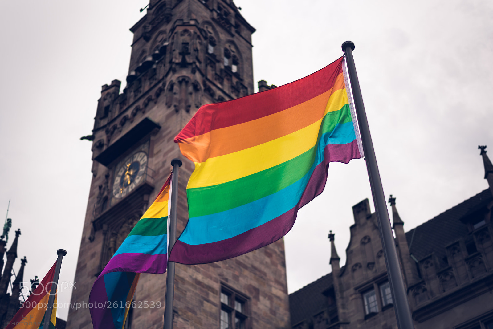 Nikon D750 sample photo. Pride - 161/365 photography