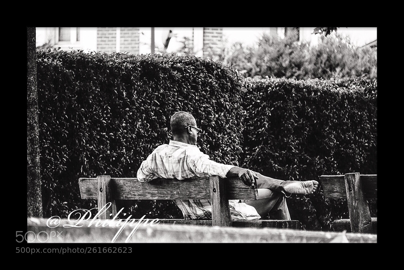 Sony a6000 sample photo. In the shade photography