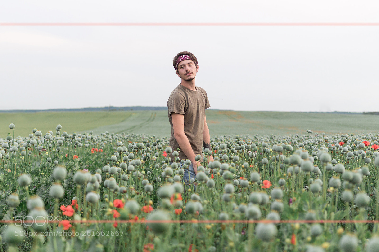 Canon EOS 700D (EOS Rebel T5i / EOS Kiss X7i) sample photo. I am poppy photography
