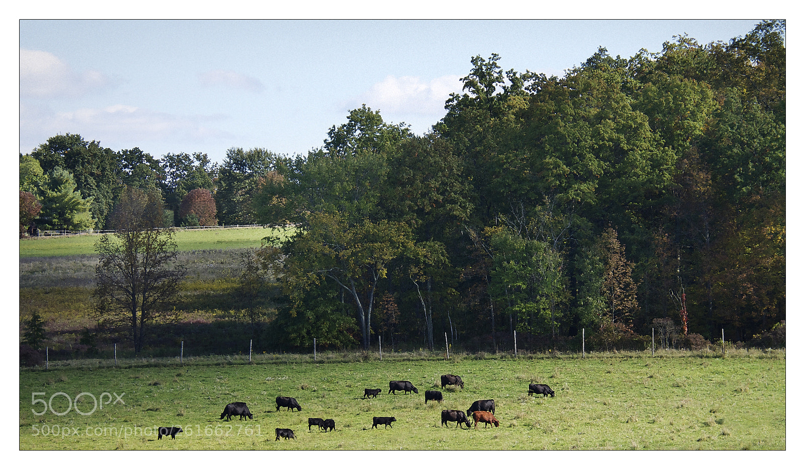 Nikon D800 sample photo. Brooks farm photography