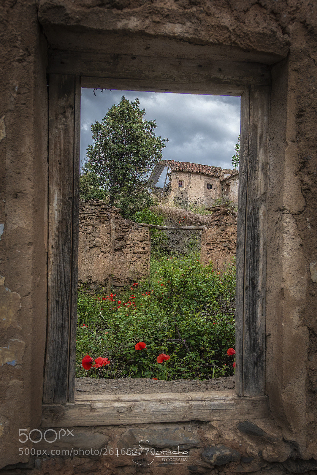 Nikon D750 sample photo. Oleo con marco. photography