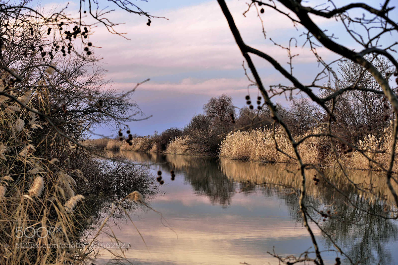 Nikon D600 sample photo. Quiet... photography