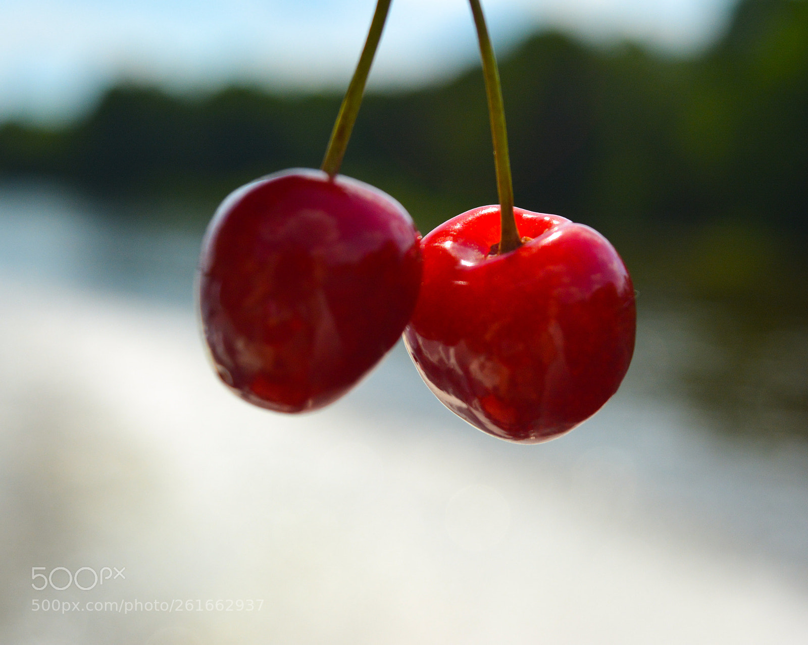 Nikon D5200 sample photo. Vitamin photography