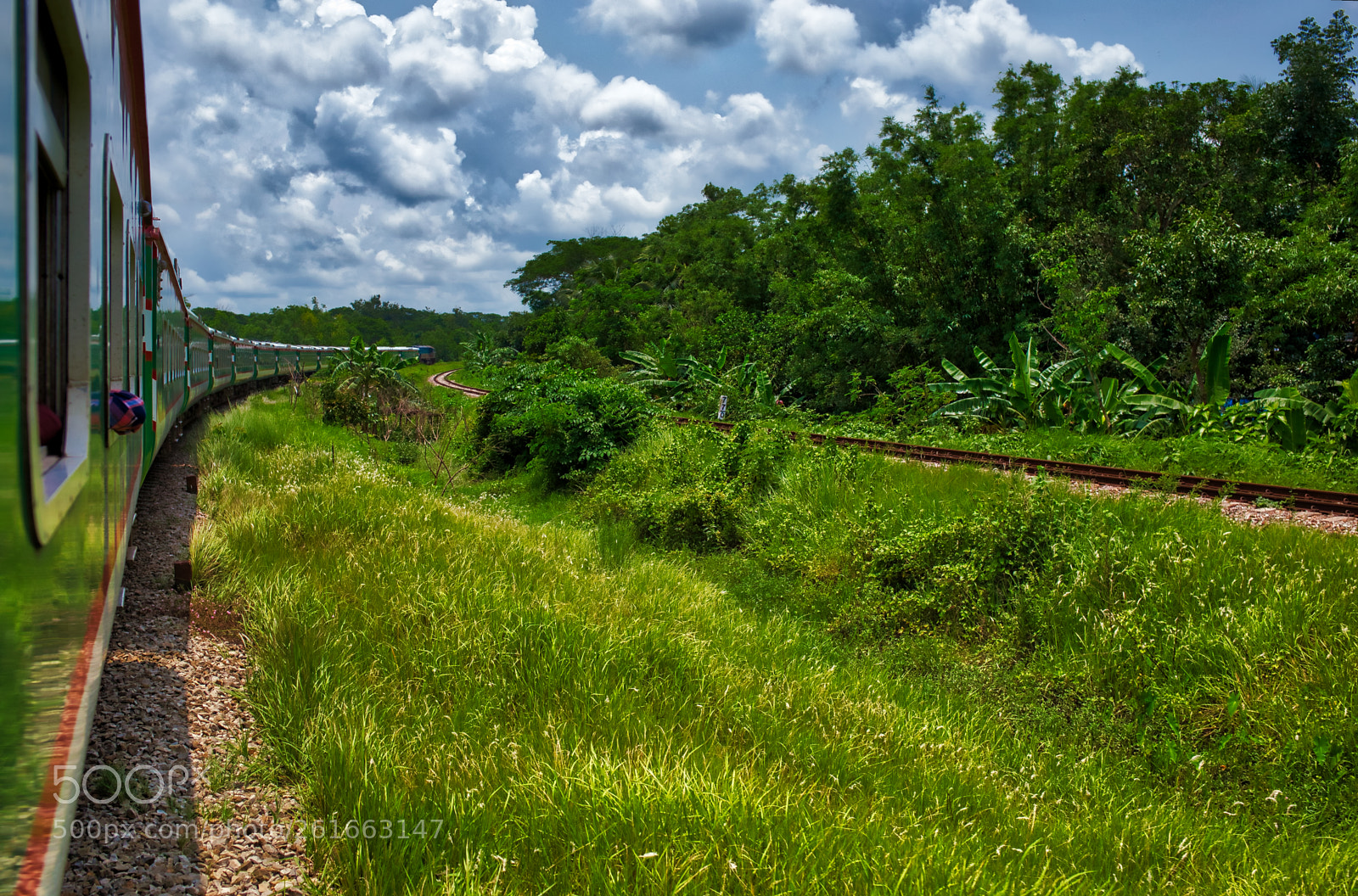 Canon EF 35mm F2 IS USM sample photo. Train in the nature photography
