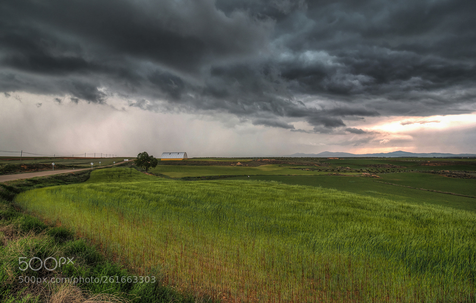 Olympus OM-D E-M1 sample photo. Tormenta photography