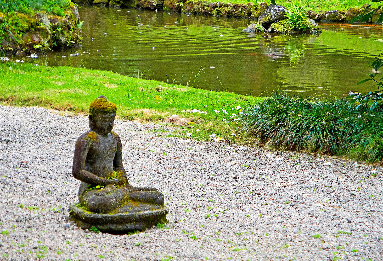 Sony Cyber-shot DSC-W290 sample photo. Byodo in temple grounds photography
