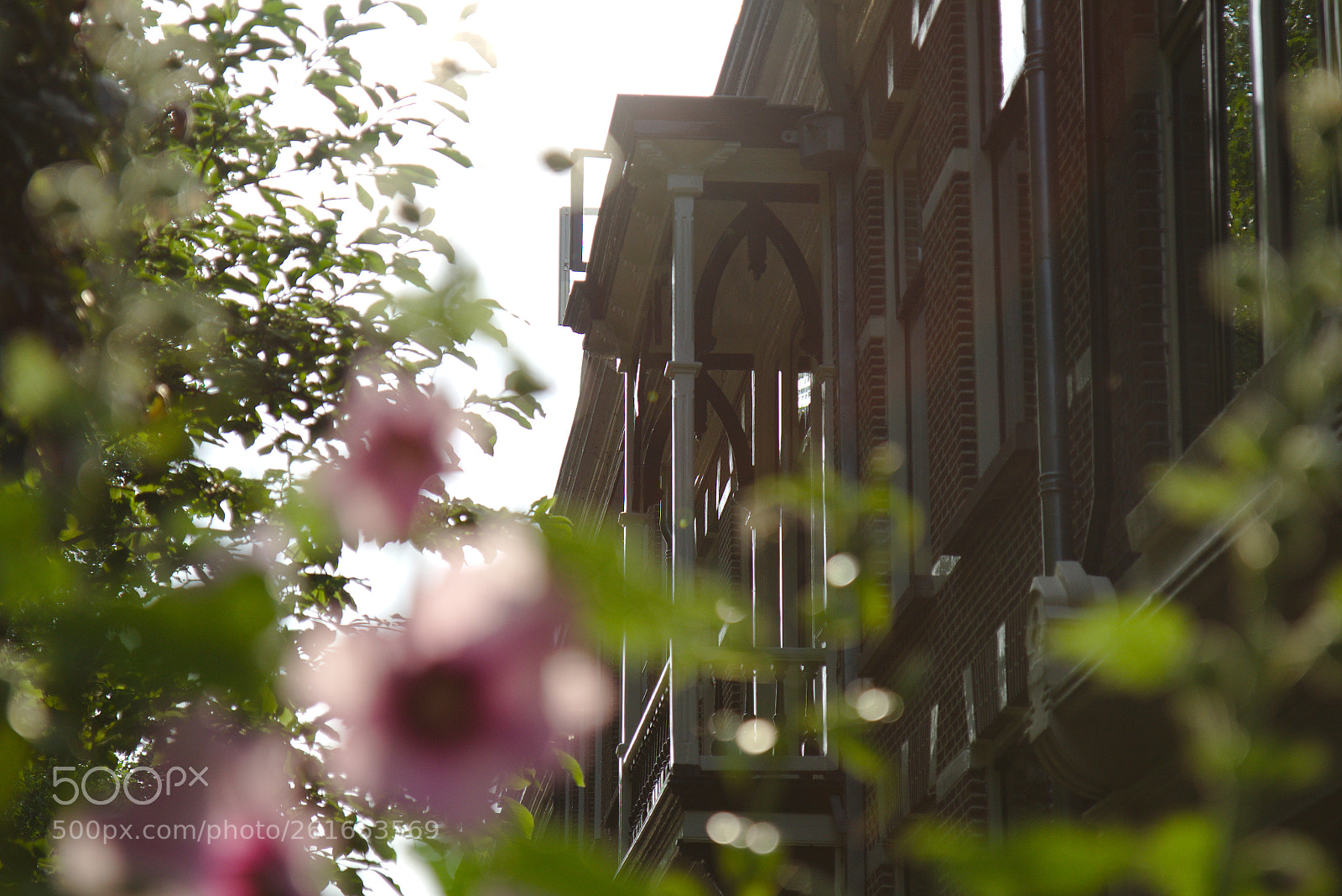 Canon EF-S 17-55mm F2.8 IS USM sample photo. All the beautiful houses photography